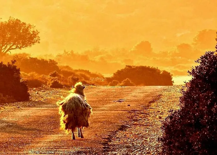 David * מאלי לוסיניי